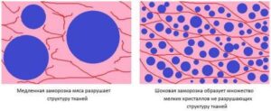 Влияние шоковой заморозки на мясо