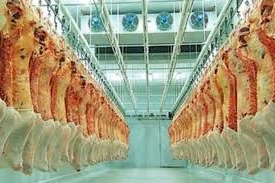 Низкотемпературная холодильная камера для мяса