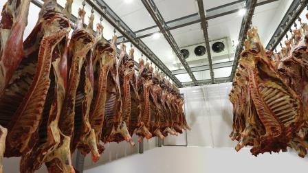 Холодильная камера для хранения мяса