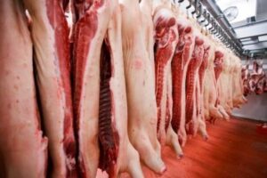 Заморозка охлажденного мяса
