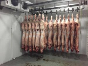 Низкотемпературная холодильная камера для заморозки мяса